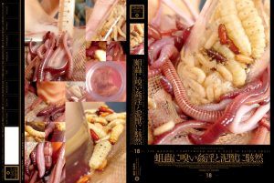 蛆蟲に嗅い姦淫と泥獣に駭然