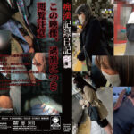 痴漢記録日記THE BEST VOL.04