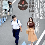 豚鼻肉便器 都内引き回しの刑 森沢かな