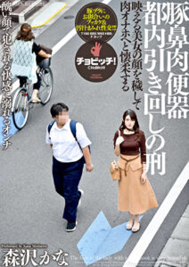 豚鼻肉便器 都内引き回しの刑 森沢かな