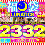 【福袋】LUNATICS！新春！超豪華お年玉ボーナスBEST！！売れ筋ヒット作品15タイトルまるっと収録2332分