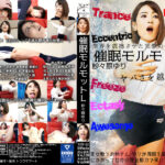 催眠モルモットL