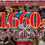 【お中元セット】ドグマ グレートバリューお中元セット