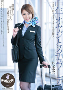 中年オヤジとスチュワーデス たまき