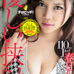 優しい挟射 春日もな