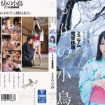 目の前に現れた小さな小鳥。ミニマム電撃移籍。