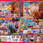 ウェット＆メッシー（WAM） AV女優○×クイズ2