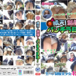 晴天！制服！パンチラ日和！