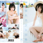 沖田あの ／ 微熱美少女図鑑