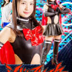 シャドーストライカー ～痛みから快感へ～