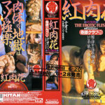 紅肉花（ほてりばな） ナオミ