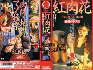 紅肉花（ほてりばな） ナオミ