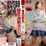 完全M男化放課後生活 夕方行われる秘密の調教 向井藍