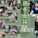 一般応募人妻猥褻面接 the BEST 002