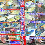 長身スレンダー女性のカカトで頭を踏み潰されるイモリ！