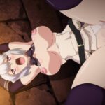 Knight of Erin 1st tale