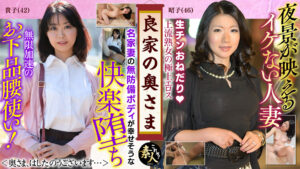 良家の奥さま奥さま、はしたのうございます…