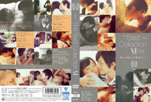 The Best Collection VI
