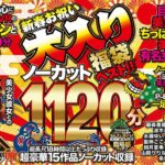 【VR福袋】P-BOX VR 新春お祝い大入りノーカット1120分福袋ベスト！！