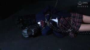 監○～男の性奴○になった私～ 渚ひまわり