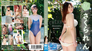 cherry blossoms／さくられん BD