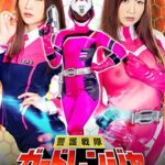 警護戦隊ガードレンジャー 囚われのガードピンク美肉悦楽調教 大槻ひびき