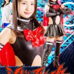 シャドーストライカー ～痛みから快感へ～ 水谷あおい