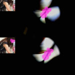 【座りデルタ＆逆さ撮り】美人お姉さん