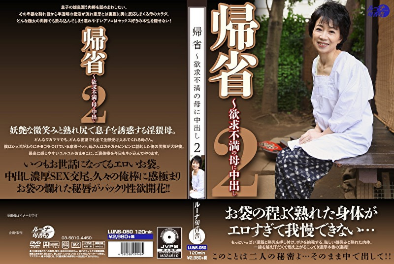 帰省~欲求不満の母に中出し 2
